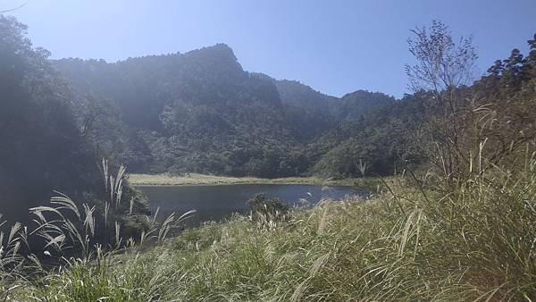 IMG_20191011_135108.jpg