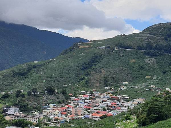 【運動人生】百岳編號044｜志佳陽大山攻略｜單攻｜陡上170