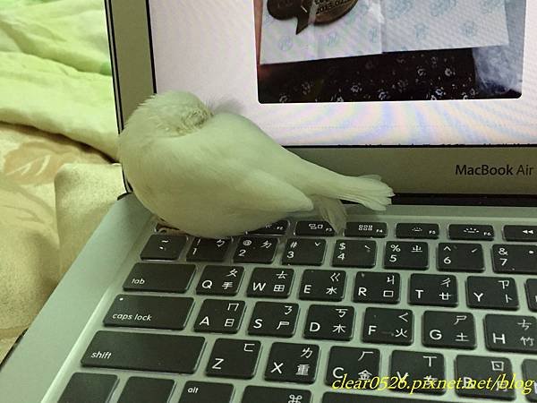2016-05-30 377