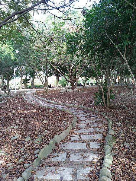 P_20181209_133939_1_vHDR_Auto.jpg