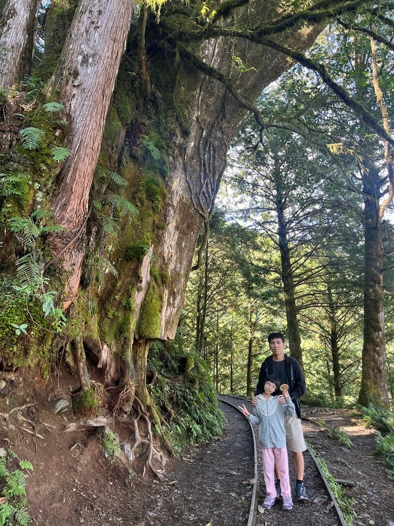 太平山 二天二夜 見晴懷古步道 太平山莊 蹦蹦車