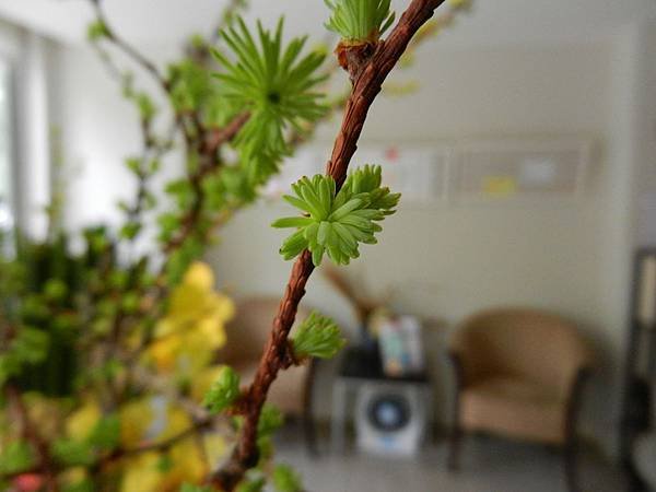 DSCN4970