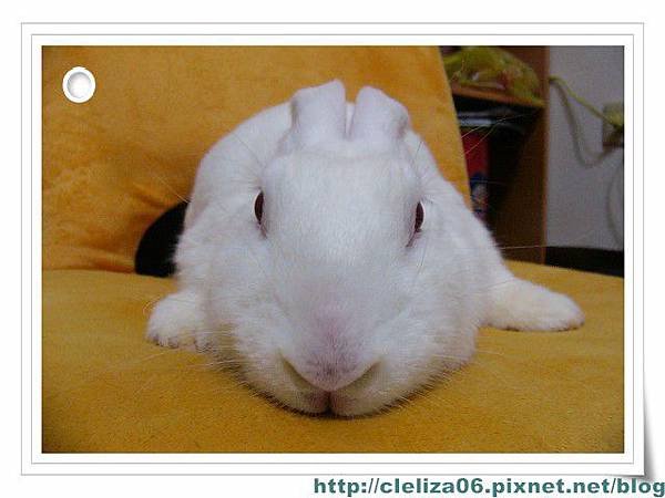 PhotoCap_P1240298