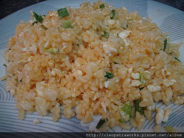 FriedRice07