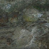 DSCN0615(001).jpg