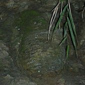 DSCN0614(001).jpg