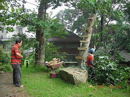 DSCN0764.jpg