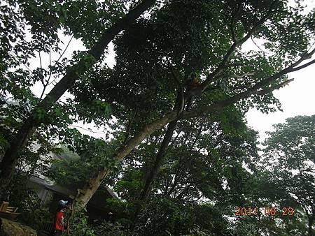 DSCN0759.jpg