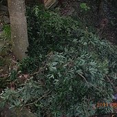 DSCN0768.jpg