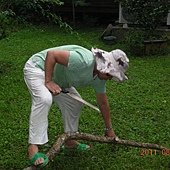 DSCN0767.jpg