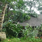 DSCN0763.jpg