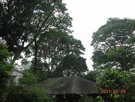 DSCN0770.jpg