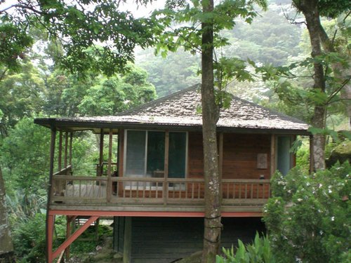 油桐小築.jpg