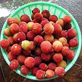 DSCN1743