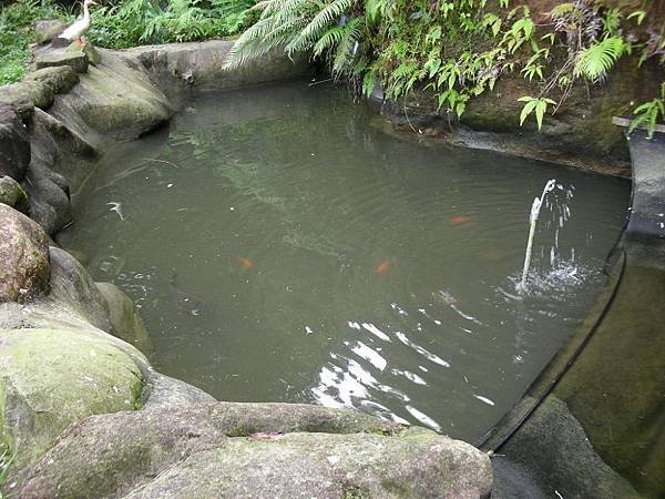 DSCN1850