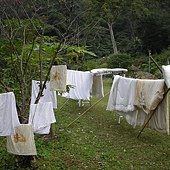 DSCN2632