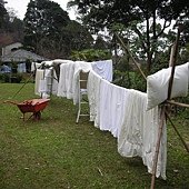 DSCN2634