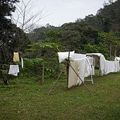 DSCN2631