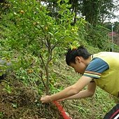 DSCN2673