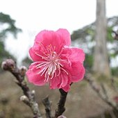 DSCN2640