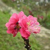 DSCN2639