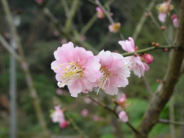DSCN2651