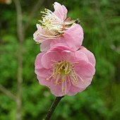 DSCN2647