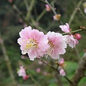 DSCN2651