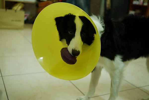 P1000356-fix.jpg
