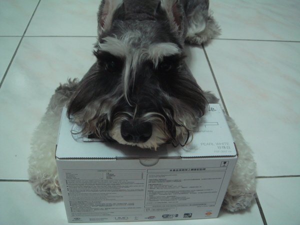 DSC00015.JPG
