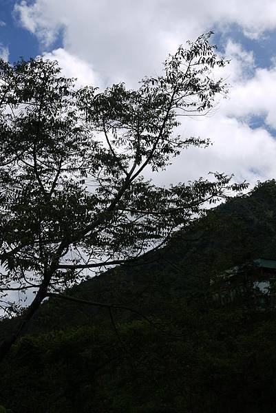 P1030363.jpg-fix.jpg