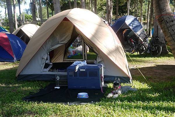 P1030779f.jpg