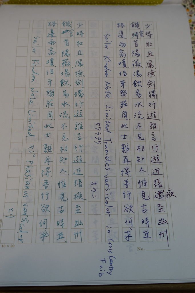寫樂Kingdom Note限定墨水試色