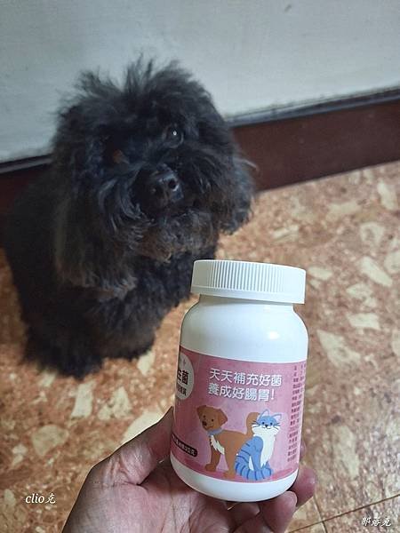 寵霸 Furbaby+ 腸胃專科益生菌，日日補充好菌做好毛孩