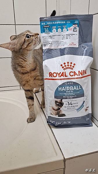 法國皇家ROYAL CANIN保健貓系列有效化毛IH34成貓