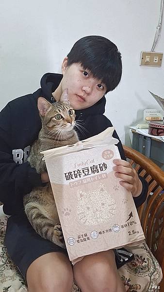 貓夫人LadyCat第四代豆腐砂，凝結力快＋吸收力強＋除臭一