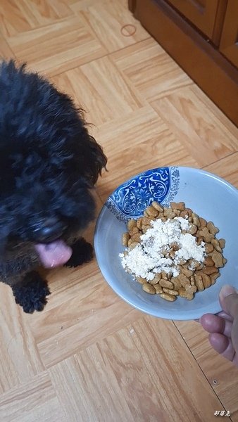 【三個寶】無鹽無添加防腐劑的凍乾寵物零食，老狗掃飯神器大口吃