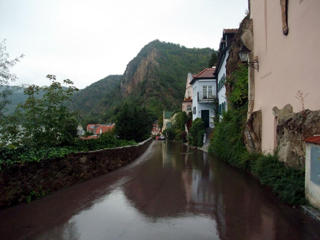 DSCF3861.JPG
