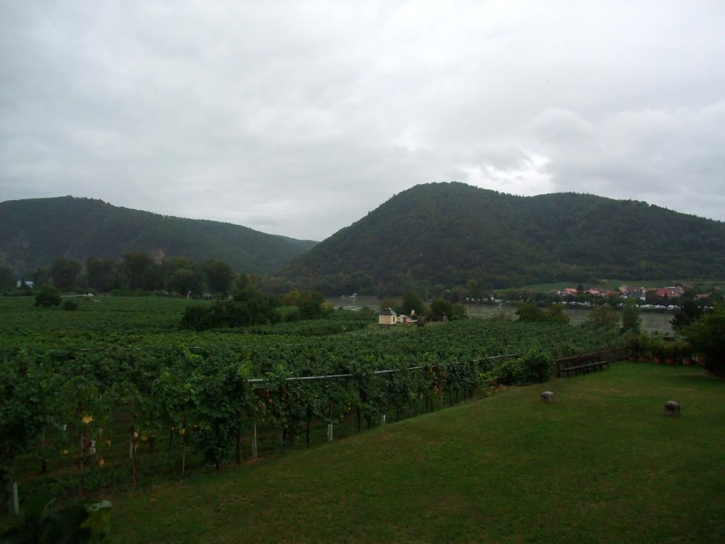 DSCF3868.JPG