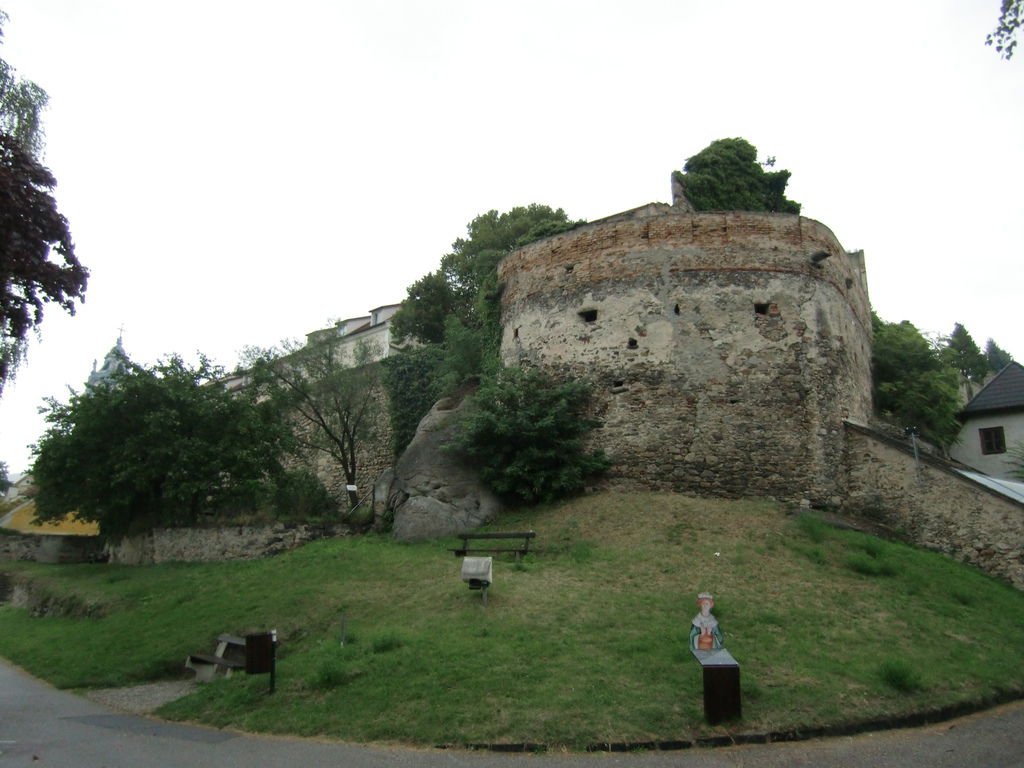 CIMG0014.JPG