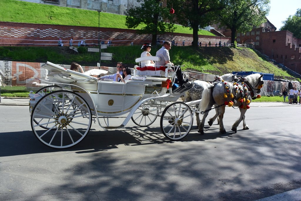 DSC_6111.JPG