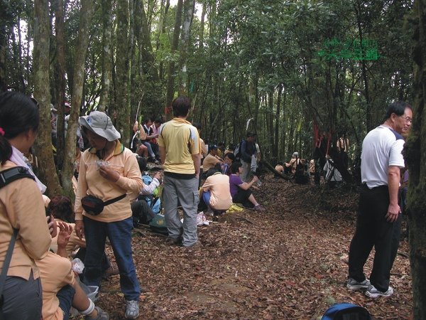 必勝登山-金甘樹山-21.jpg