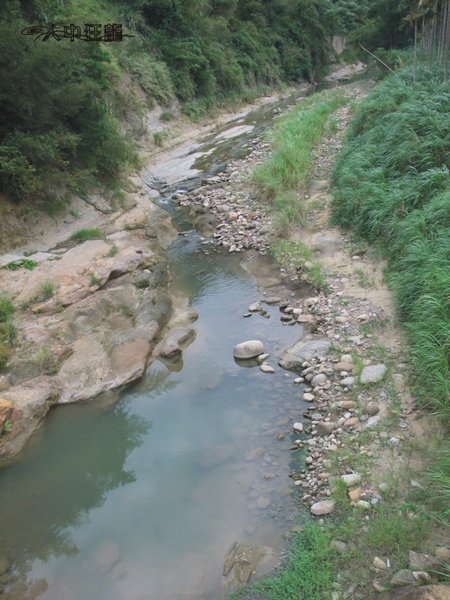 第14次美食團 森鐵道 龍騰斷橋-08.jpg