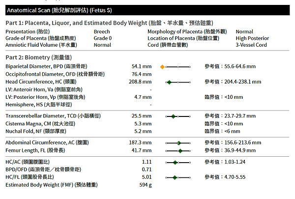 高層次報告1.png