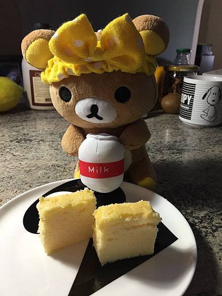 japanese cheesecake (17)