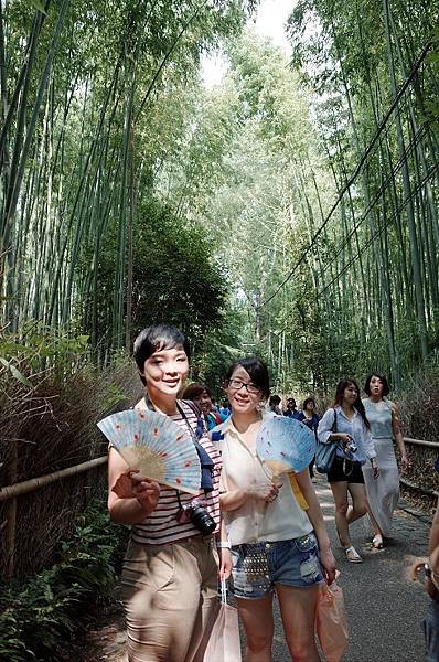 bamboo forest (6).JPG