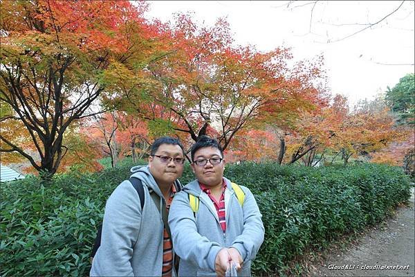 IMG_0153_结果.JPG