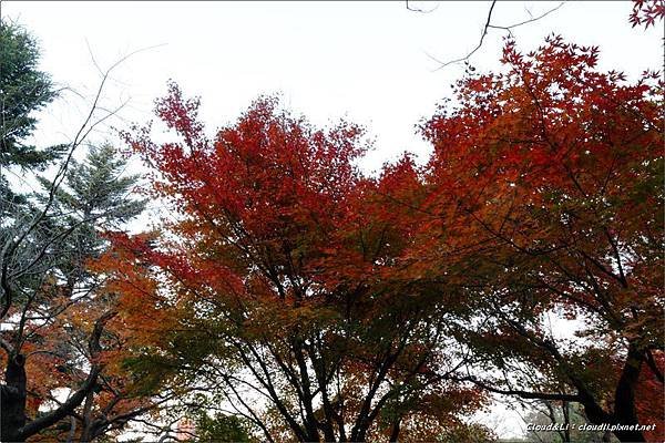 IMG_0150_结果.JPG