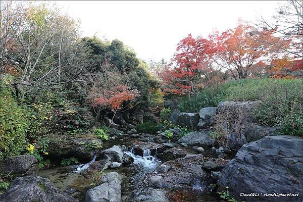 IMG_0163_结果.JPG