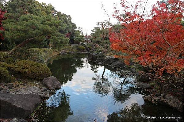IMG_0203_结果.JPG